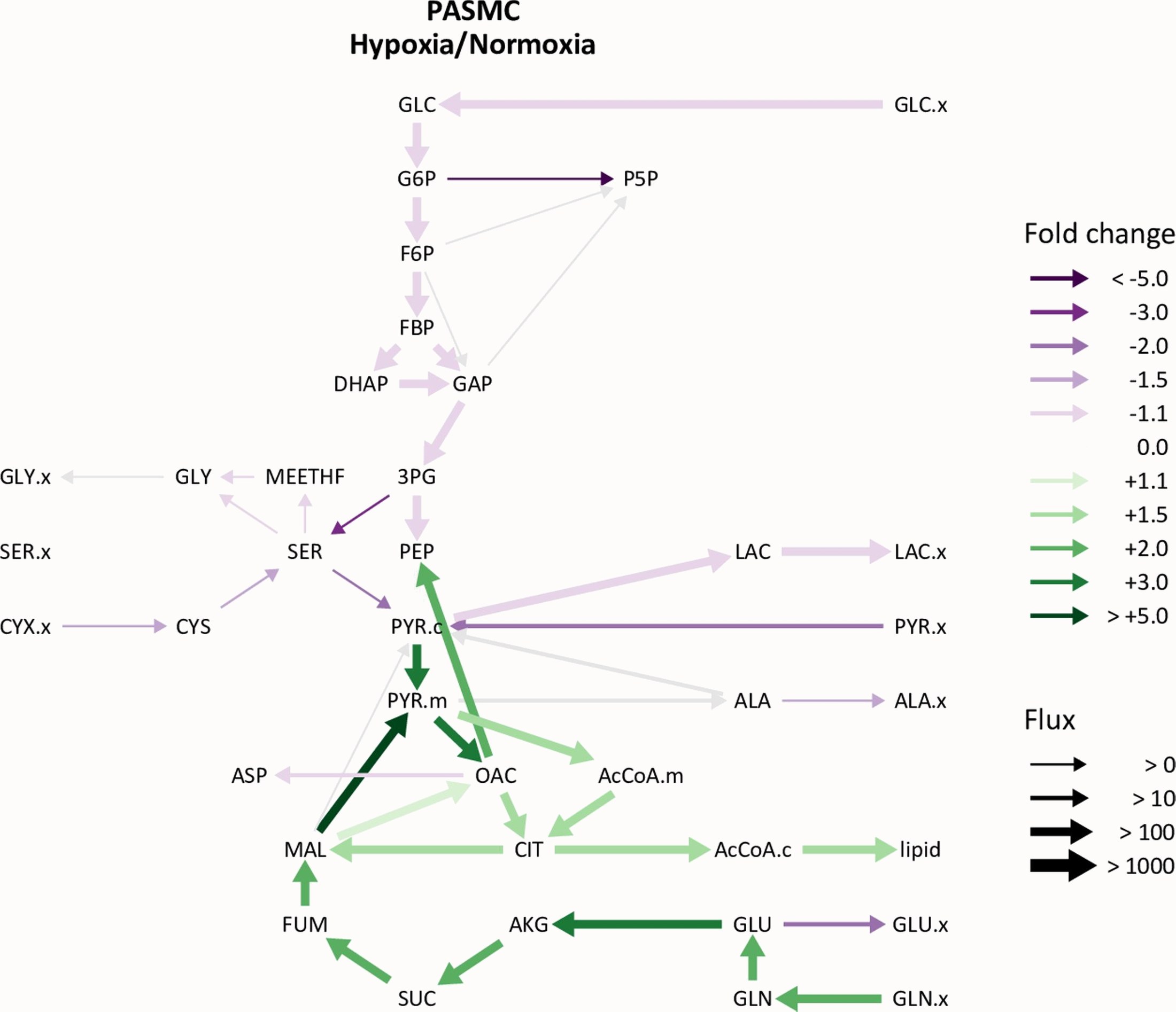 Metabolic flux map of pulmonary artery smooth muscle cells in low oxygen relative to room air, with arrows coloured by fold change and weighted by absolute flux.